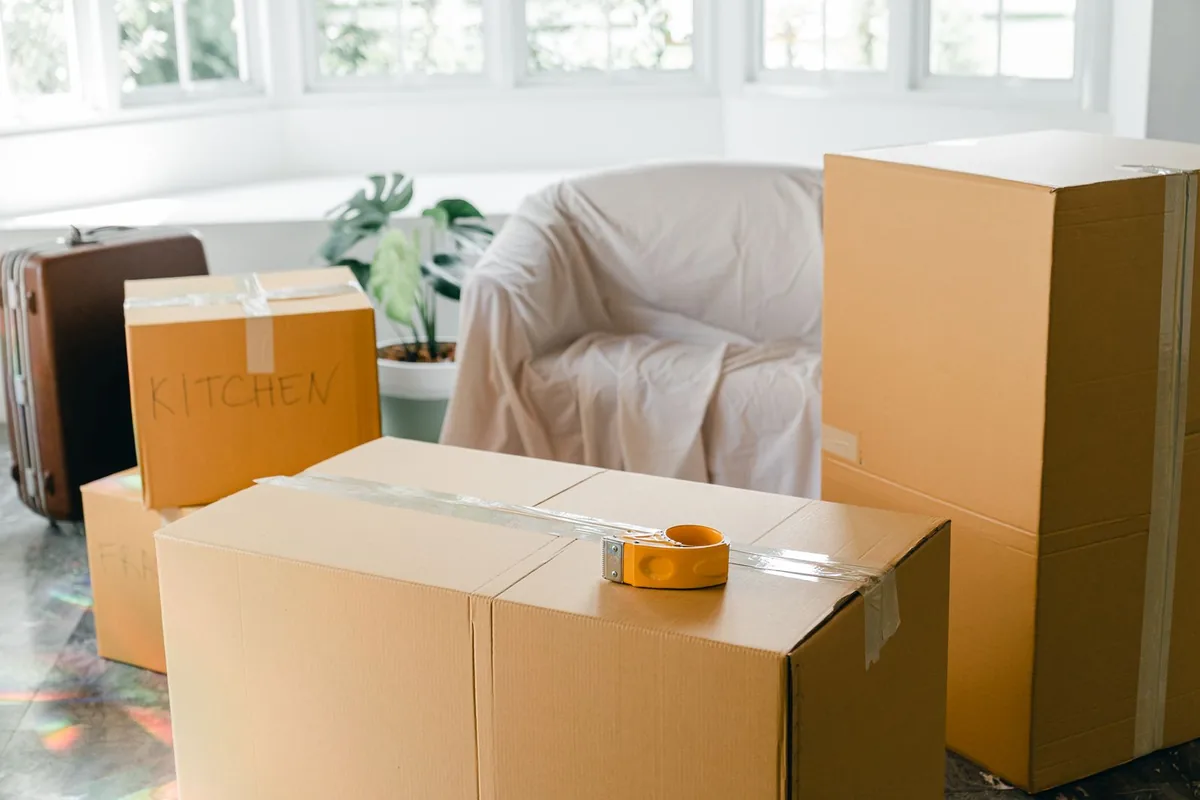 Hoarding Cleanup in Pasadena Bear Creek Estates, St. Petersburg, FL